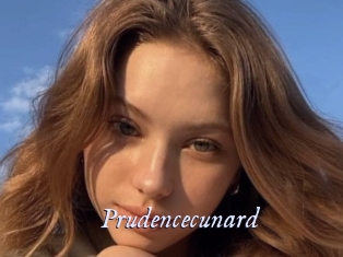 prudencecunard 1 chatte mouillée