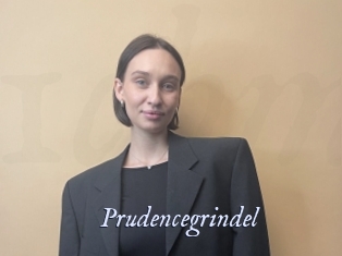Prudencegrindel