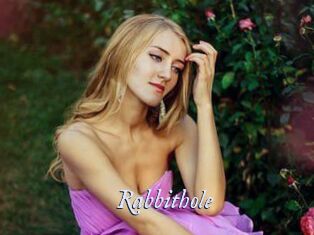 Rabbithole