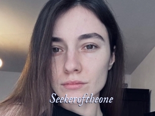 Seekeroftheone