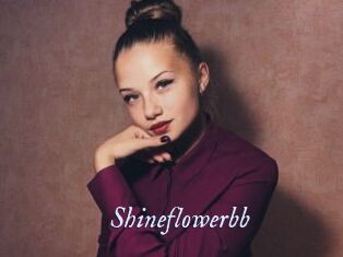 Shineflowerbb