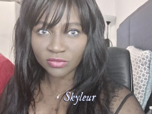 Skyleur