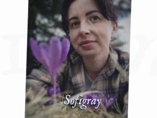 Sofi_gray