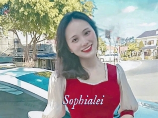 sophialei 1 chatte mouillée