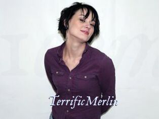 TerrificMerlin