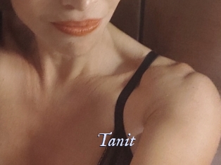 tanit 1 chatte mouillée
