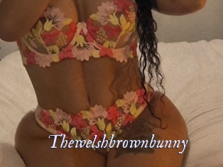 Thewelshbrownbunny