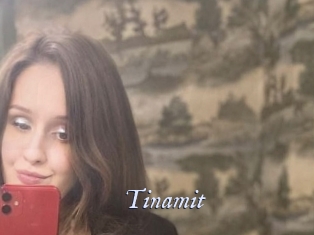 Tinamit