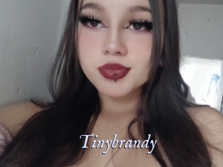 Tinybrandy