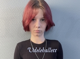 Udelehallett