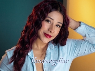 Vanesaaguilar