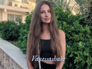 vanessashake 1 chatte mouillée