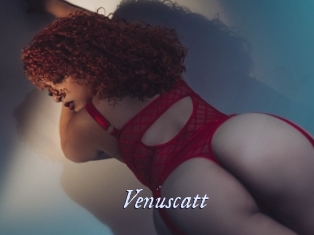 Venuscatt