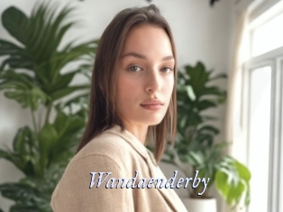 Wandaenderby