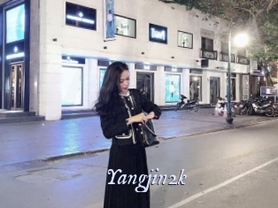 Yangjin2k