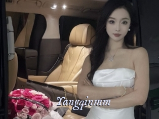 Yangqinmm